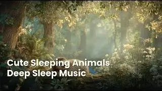 Deep Healing Lofi for Sleep 🌙 Cute Dreaming Animals & Peaceful Winter Vibes