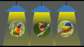 Lighting Lamp Animation in PowerPoint | How to Design Lighting Lamp Animation to Highlight  Object