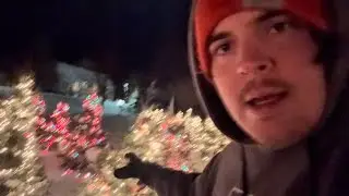 A Blunt in the snow
