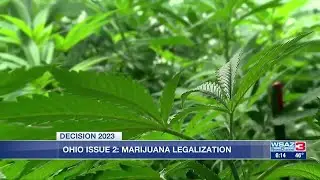 Issue 2: Ohio voters set to decide marijuana legalization