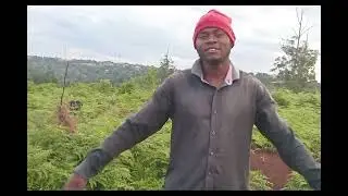 Timox on Beatz__--__We Muaraca