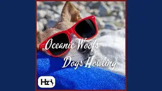 Relieve Stress in Pets with Ocean Tranquility