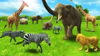 Real Animals in world 🌎 views #animalssounds #realanimals