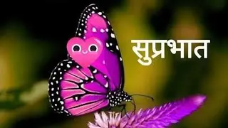 BUTTERFLY 🦋: FLAPPING WINGS