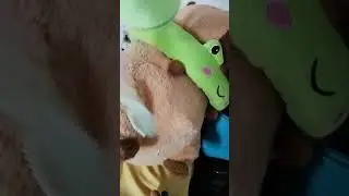 Le digo a Capi qué se aliste y le diga a gatita ya nos vamos para el cine pero no hay señal 