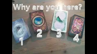 Your Soul Purpose, or Why are you here? Pick a Card Tarot Reading