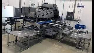 CLASIFICADORA DE CAMARÓN ,ESCORPIÓN XL-7000 /  SHRIMP GRADER ,SCORPION XL-7000