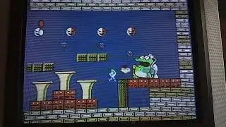 Super Mario U.S.A (Final)