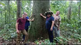 Invested in the preservation and reforestation of the Amazon rainforest - Green Ethnies