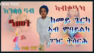 ከመይ ጌርካ ኣብ ሞባይልካ ፓነር ትሰርሕ!!