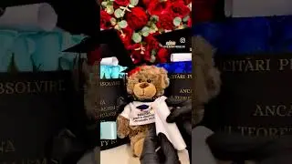 Ursulet absolvent pentru baieti cu toca si pergament-100LEI