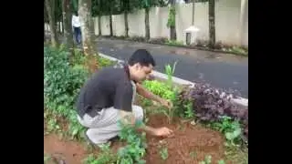 Sewa International USA - An introduction