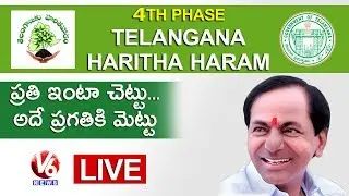 CM KCR LIVE 4th Phase Haritha Haram Launching Event | V6 News