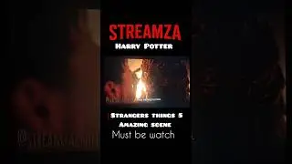 #strangerthings #strangethings5 #harrypotter #vacana #netflixseries