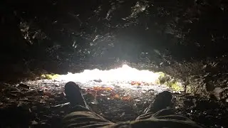 Cave Crawl