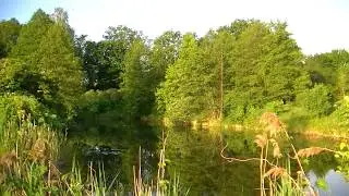 Strob&oacute;w