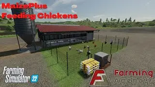 Кормление цыплят кормом MaizePlus - MaizePlus - FS22