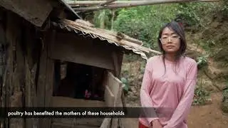 Wokha: From Jhum to Settled Farming