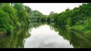 Neckarbiotop Zugwiesen