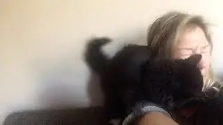 Cat Hates Its Owners Singing