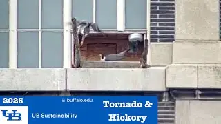 2025 03-13 to 03-17 UB Falcon Stream excerpts - Tornado and Hickory