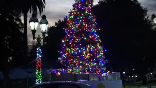 Free holiday events bring joy to San Diego families on a budget