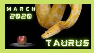 TAURUS ( MARCH 2020) Signed, Sealed, Delivered, I'm Yours ! #taurus #tarot #march