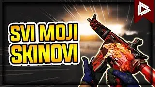 💲 KOLIKO VREDE MOJI SKINOVI? 💲