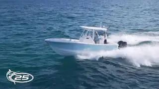 2018 Regulator 25