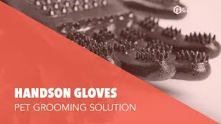 HandsOn Gloves: Bathing or Grooming Solution for Your Pets - #GadgetFlow Showcase