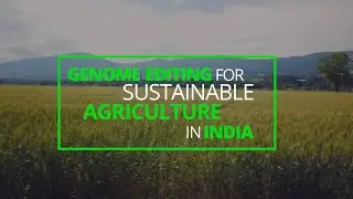 Genome Editing for Sustainable Agriculture in India