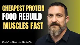 Top Protein Food to Build Muscle on a Budget &ndash; Huberman Approved