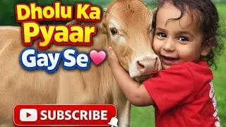 Dholu ka pyaar gaay se #vlogger #vlogs #dailyvlog #dailyvideo #babyvlog #subscribe #newsubscribers 