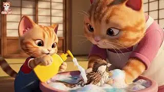 What Happens During a Cat Medical Exam? Vet Guide for Cat Owners