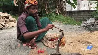 Traditional Sri Lankan Snake Charmer Cobra Flute Music #cobra #music #challenge #masrooj #snake