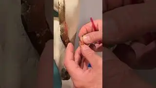 Using Metal Leaf On A Woodcarving