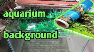 Self adhesive Black Aquarium Background | 4 feet tank black adhesive Background #aquariumbackground
