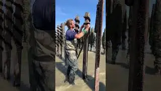 Mussel farming process in France
