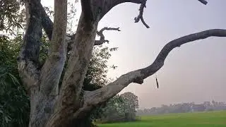 #logo ki bato par dhyan dena band kijiye #blogger #blogger short#viral short