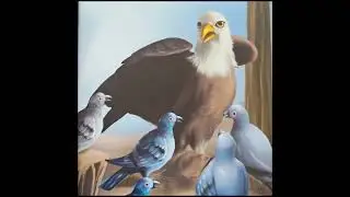 The Foolish Pigeons #panchatantratale