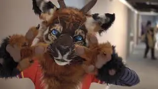 Infurnity 2016
