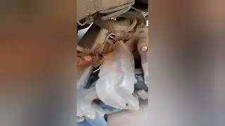 SEAT Leon Electronic Hand Brake, Rear Brake Pads Replacement, with no software