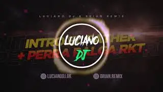INTRO EL FATHER  PERRA PALGA  RKT  LUCIANO DJ FT BRIAN REMIX