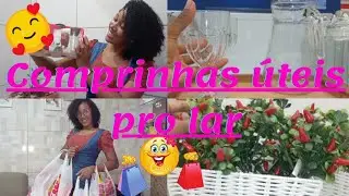 comprinhas pro lar/realizei um sonho/muitas coisas lindas/tuor na loja/#comprinhas #decoração