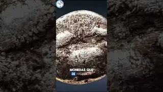 &iexcl;Lo hallaron! El texto m&aacute;s antiguo de la Biblia est&aacute; aqu&iacute;