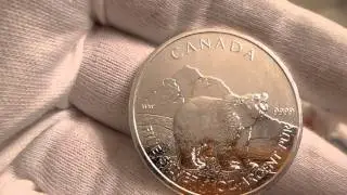 2011 Royal Canadian Mint Wildlife Series Grizzly 1 Ounce Silver Coin Review