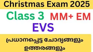 Class 3 EVS Christmas exam important questions and answers 2025| std 3 EVS exam second  #class3evs