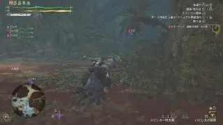 Monster Hunter Wildsラギアクルス★9救難参戦#monsterhunter #wilds #参戦 #エラー#後半戦  #ソロ #捕獲 #クリア#ラギアクルス #モンハン #ps5 