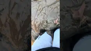 Riding boots stuck in thick mud 4