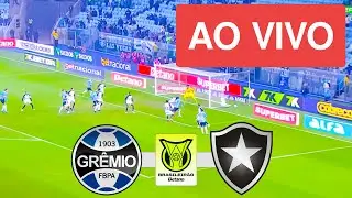 GREMIO X BOTAFOGO AO VIVO (COM IMAGENS !!!) CAMPEONATO BRASILEIRO 2026 - ASSISTA AGORA!